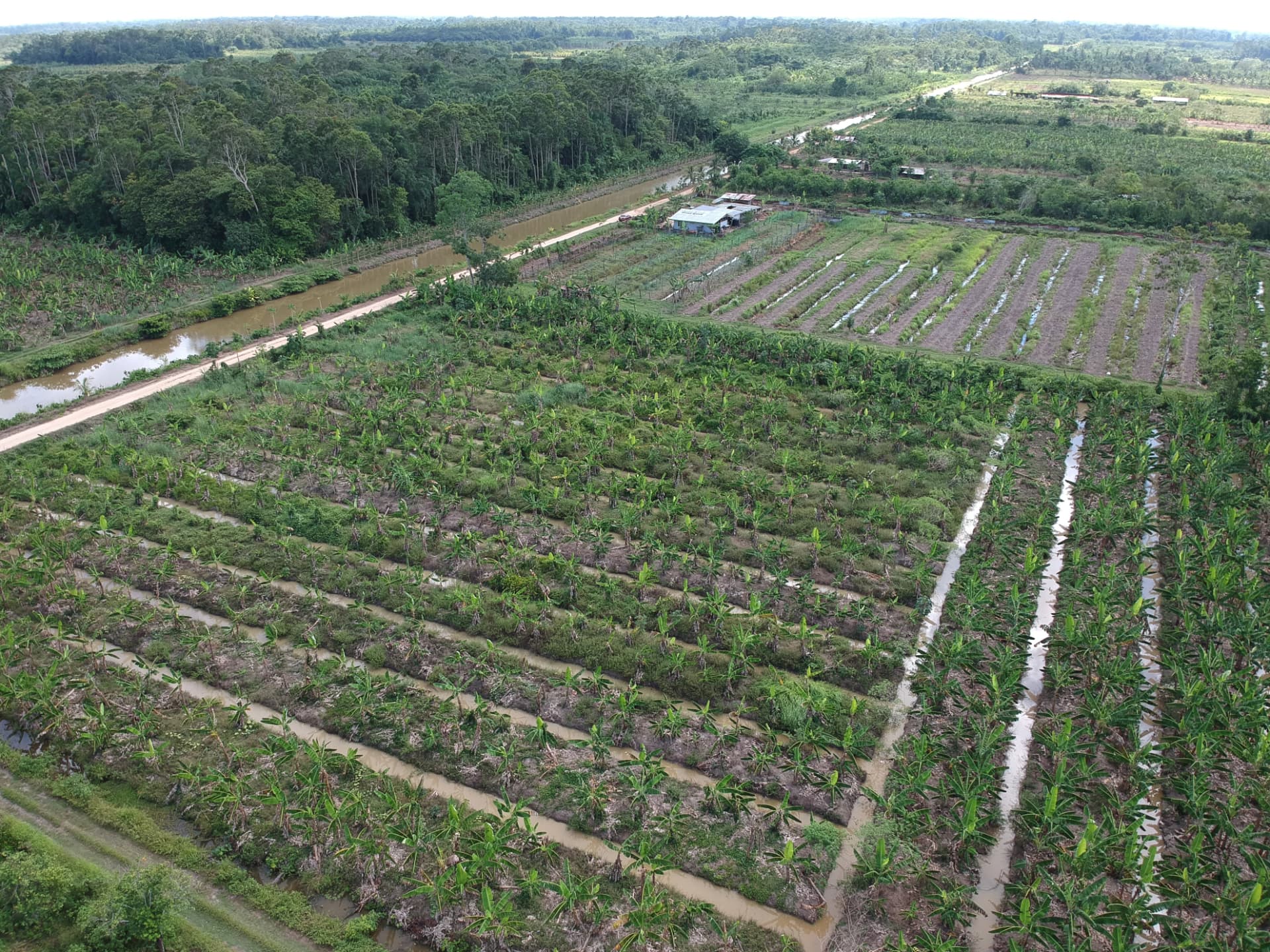 Agricultural Disaster-Risk Management Capacity Development
