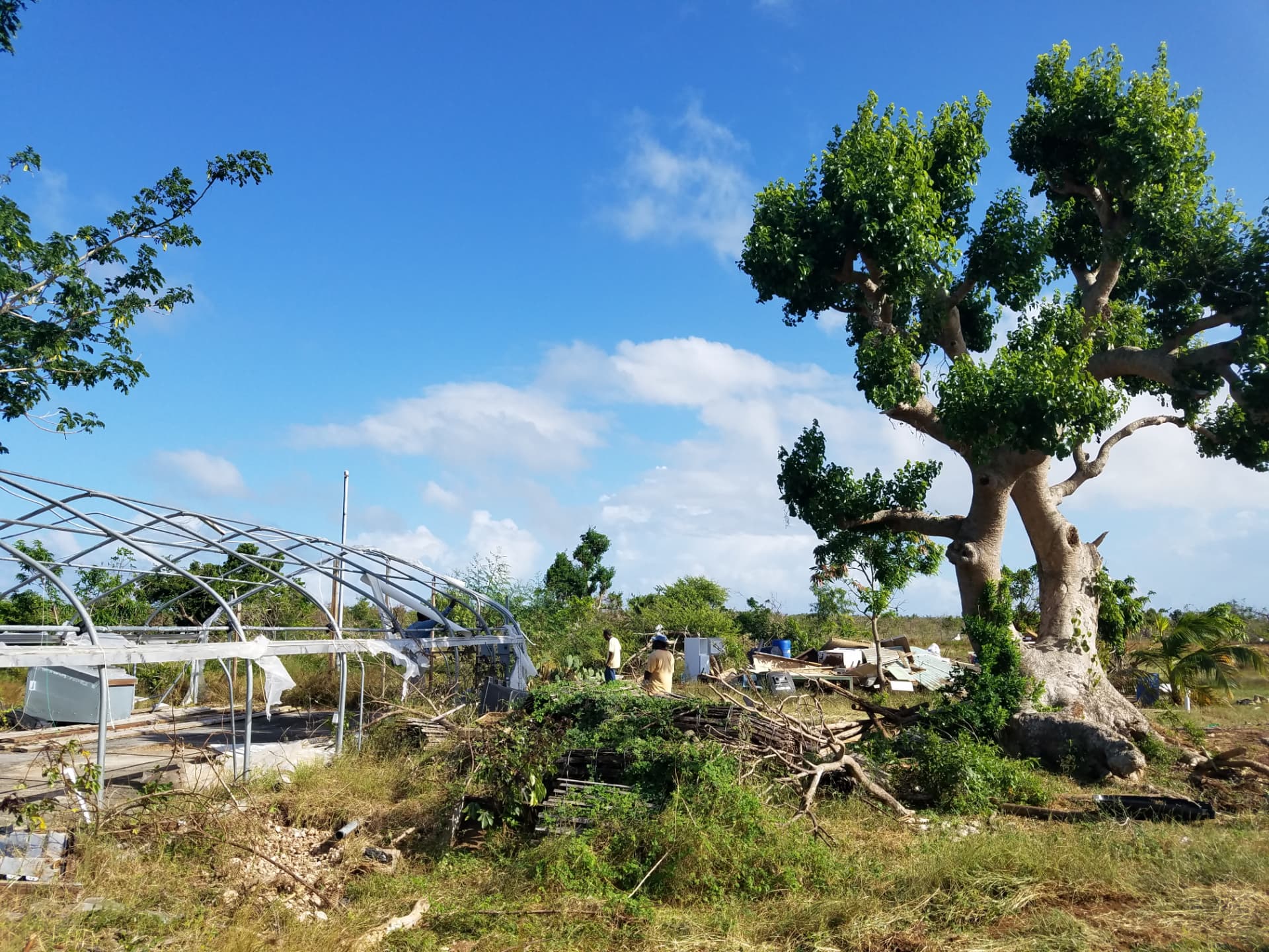 Sir McChesney George Secondary School