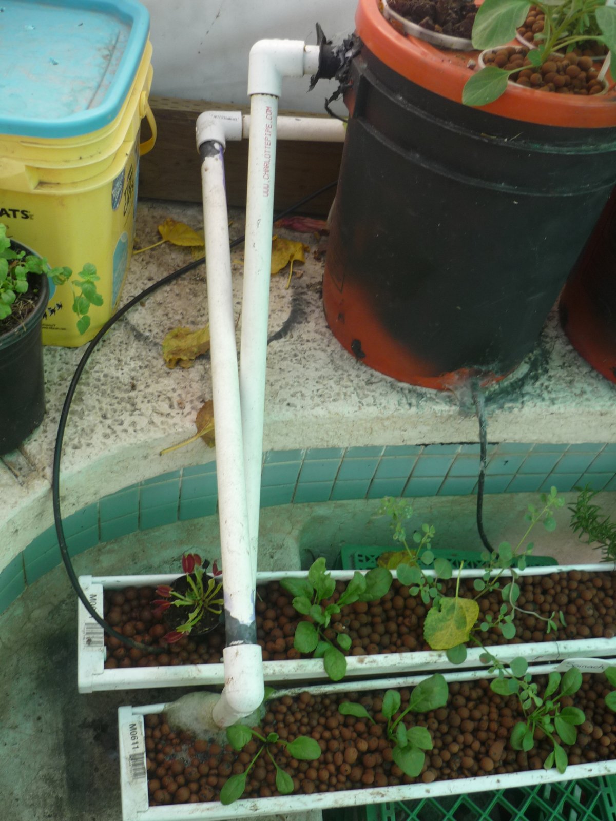 The unused corner of the original Garden Pool where the Shelfponics bookshelf was installed, with a yellow bucket marking the spot